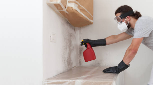 Professional Mold Removal technician working in Buckley, MI